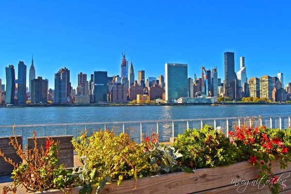New York City’s Affordable Housing Crisis: Are New Policies The Solution?